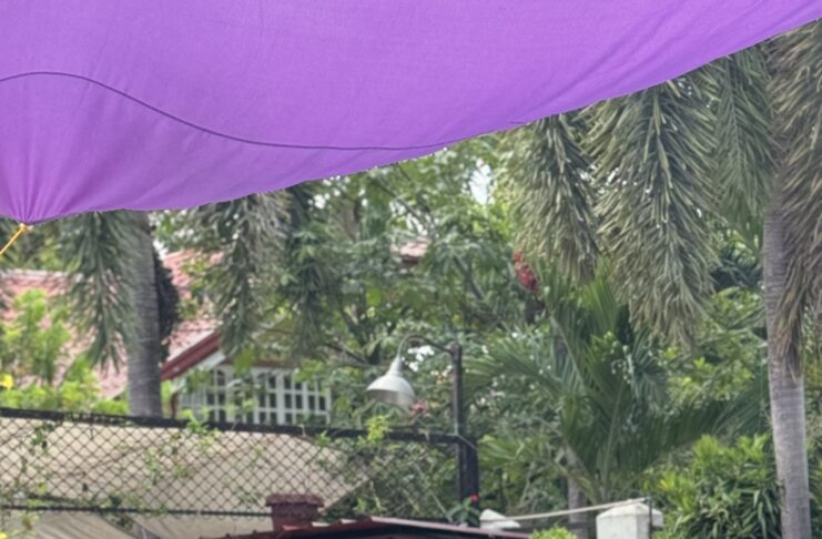 stella marina calatagan